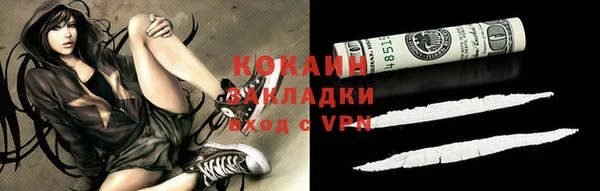 МДПВ Дмитриев