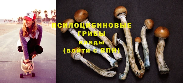 каннабис Богданович