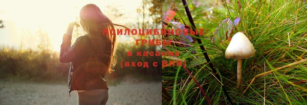 ГАЛЛЮЦИНОГЕННЫЕ ГРИБЫ Богородск